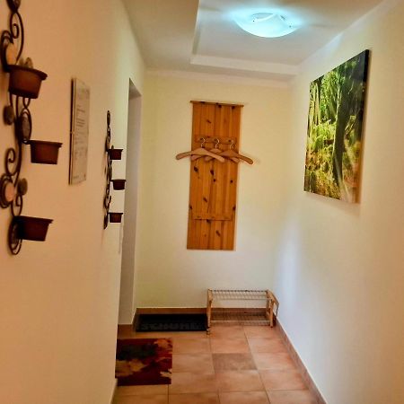 Ferienwohnung Im Landhaus Am Nationalpark Ludwigsthal Экстерьер фото