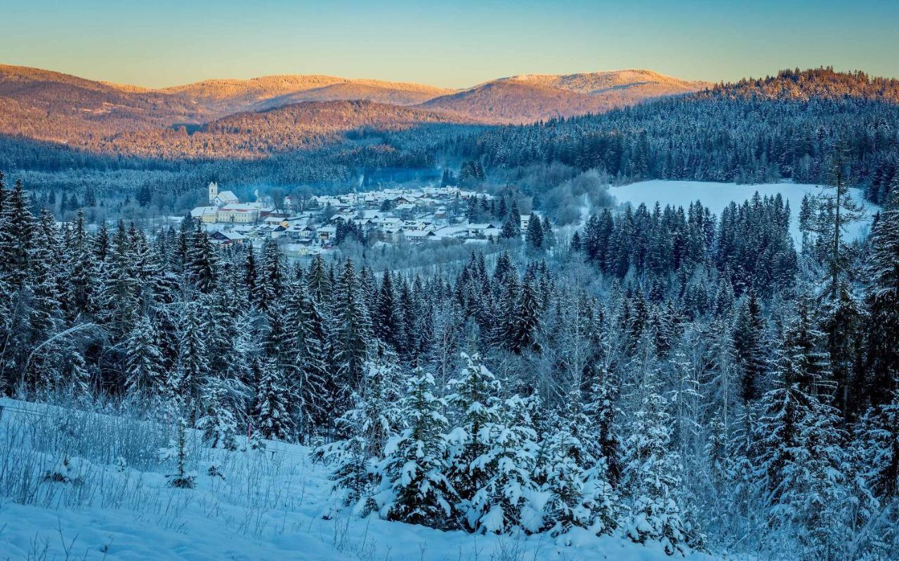 Ferienwohnung Im Landhaus Am Nationalpark Ludwigsthal Экстерьер фото