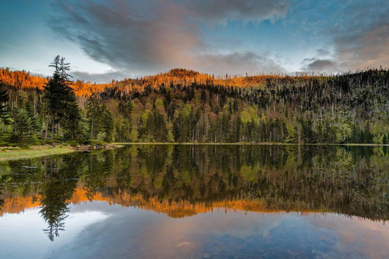 Ferienwohnung Im Landhaus Am Nationalpark Ludwigsthal Экстерьер фото