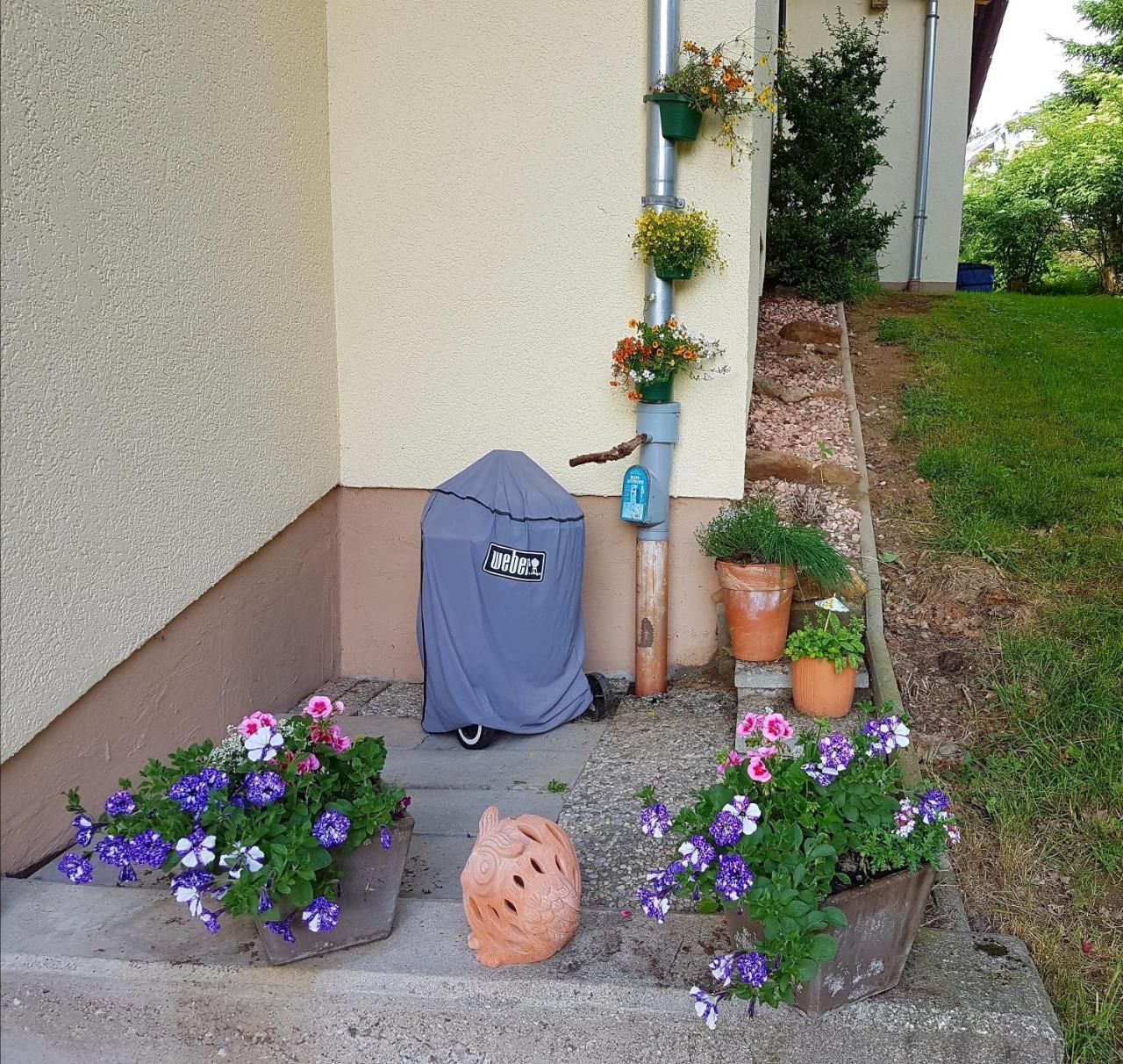 Ferienwohnung Im Landhaus Am Nationalpark Ludwigsthal Экстерьер фото